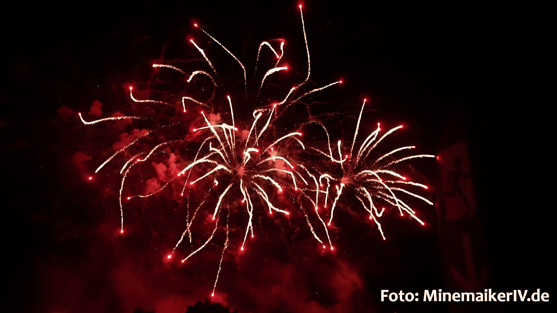 Bild 61