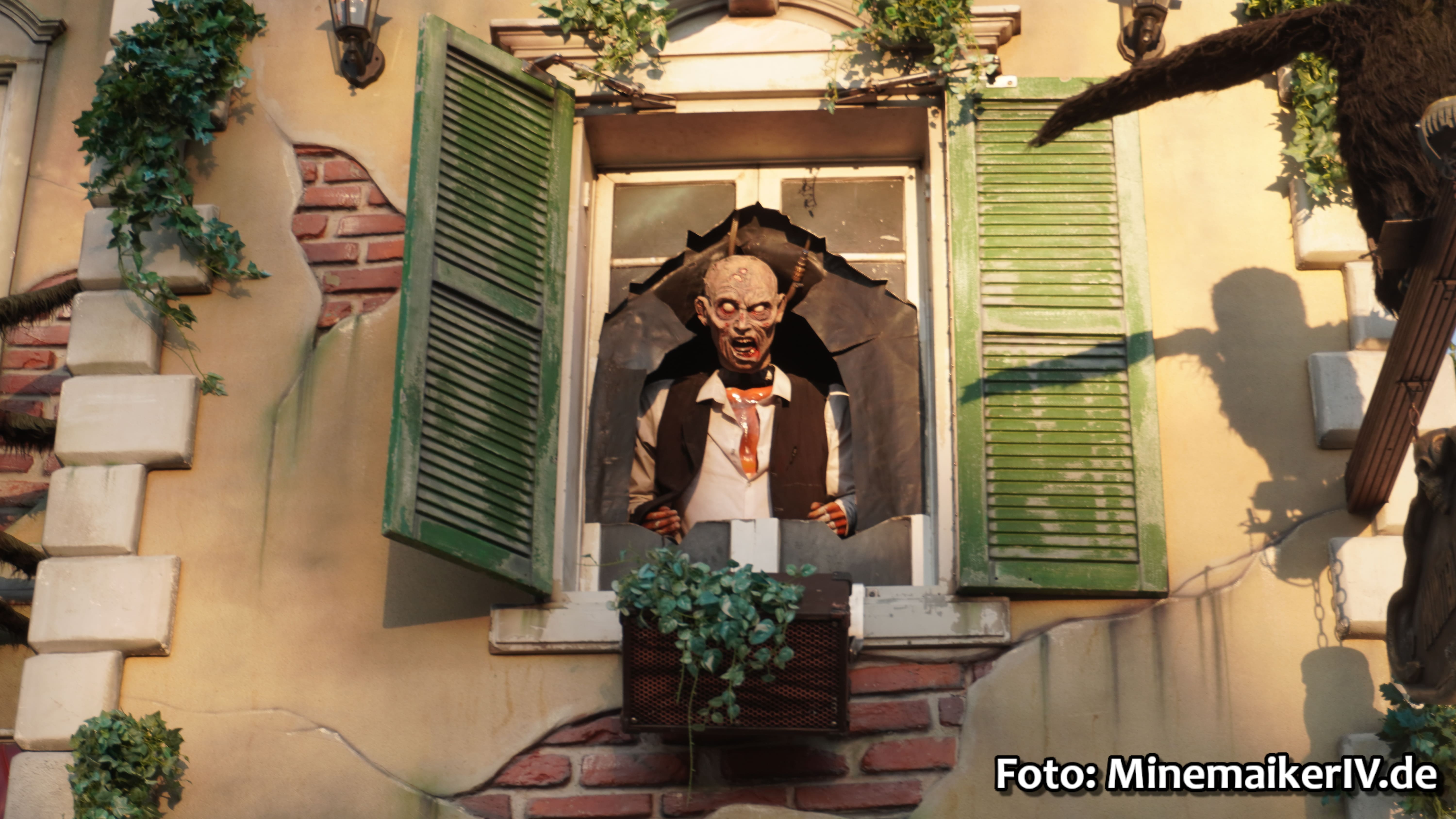 Bild 18