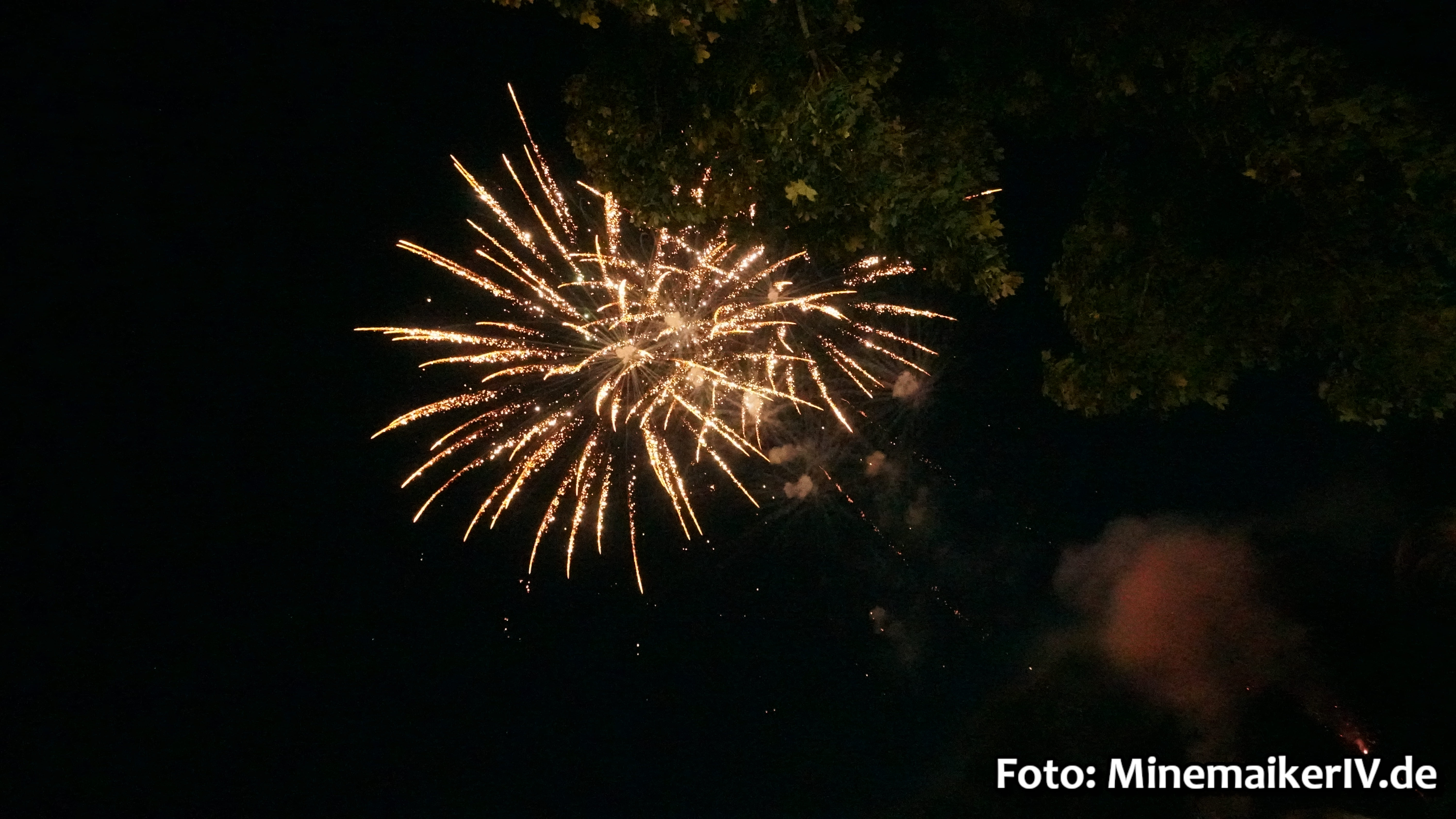 Bild 15