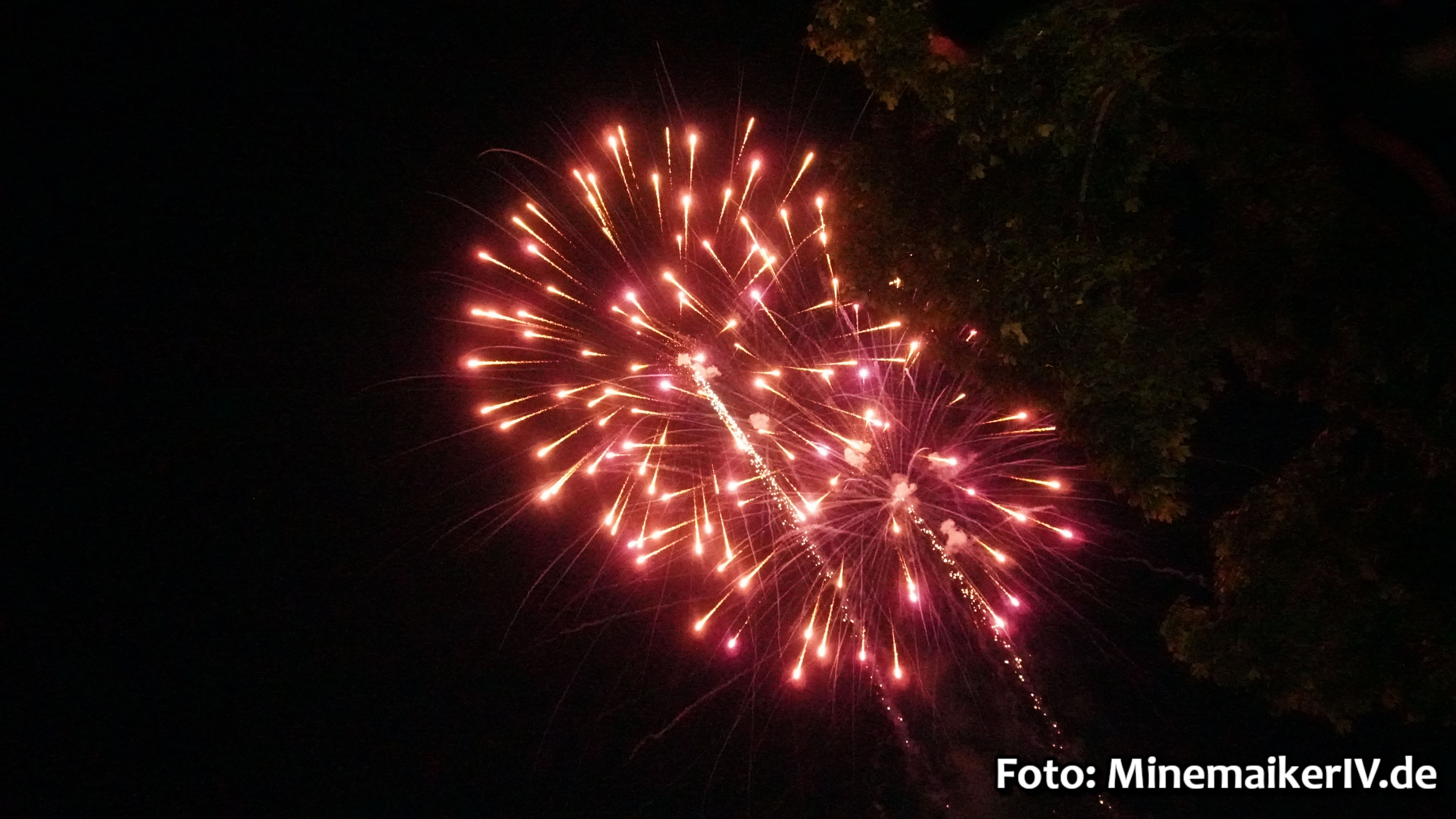 Bild 39