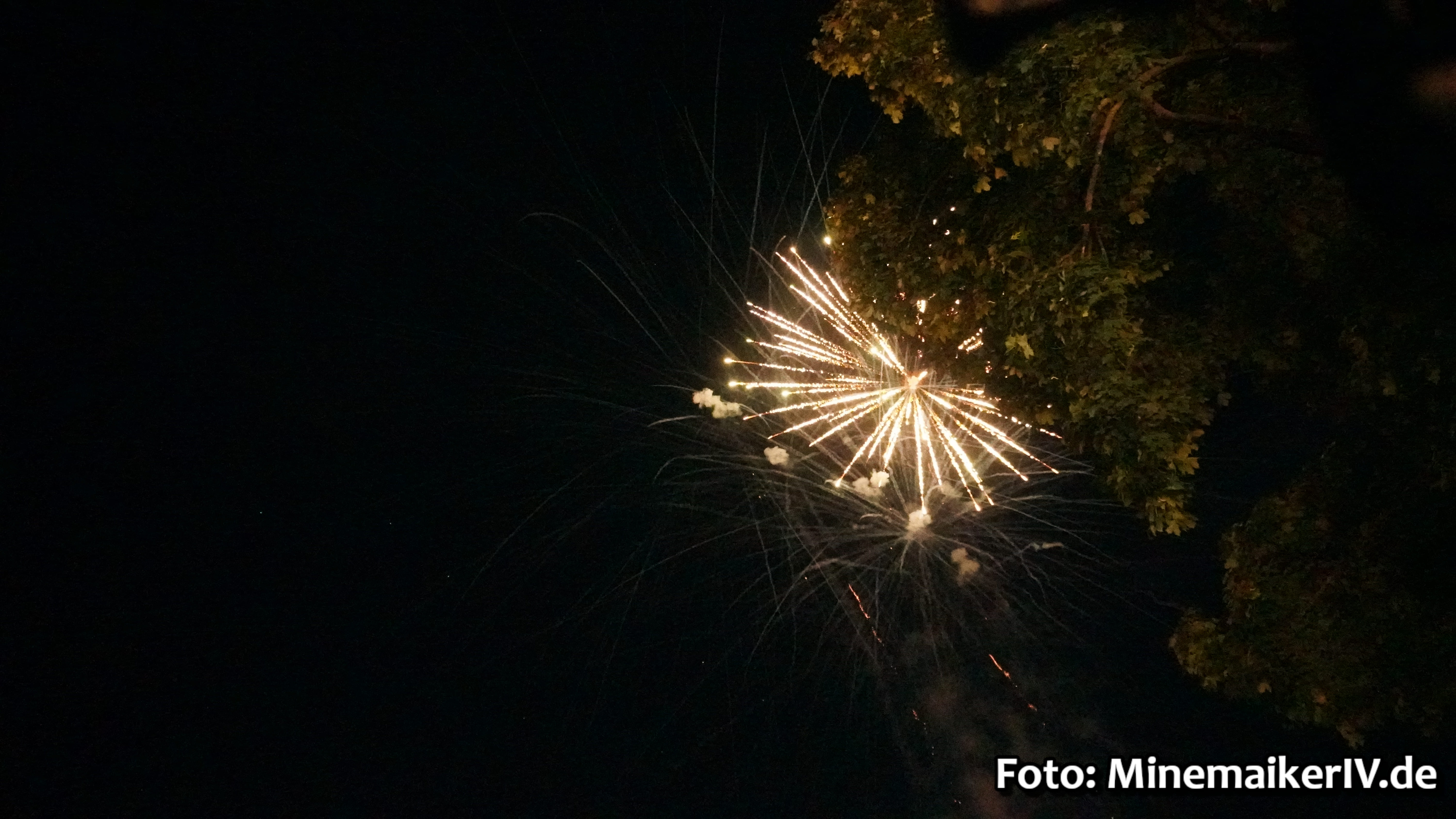 Bild 40