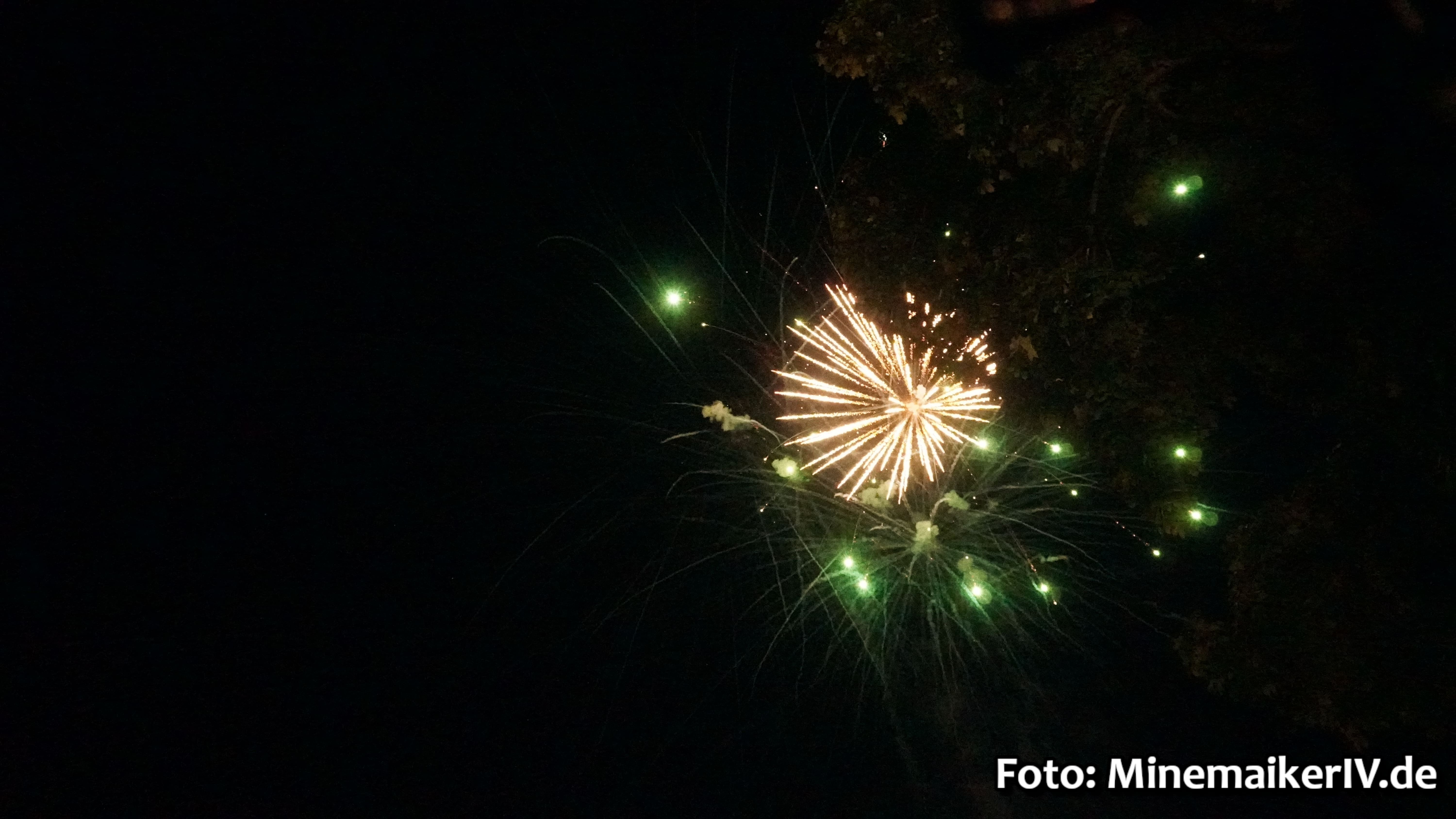 Bild 41