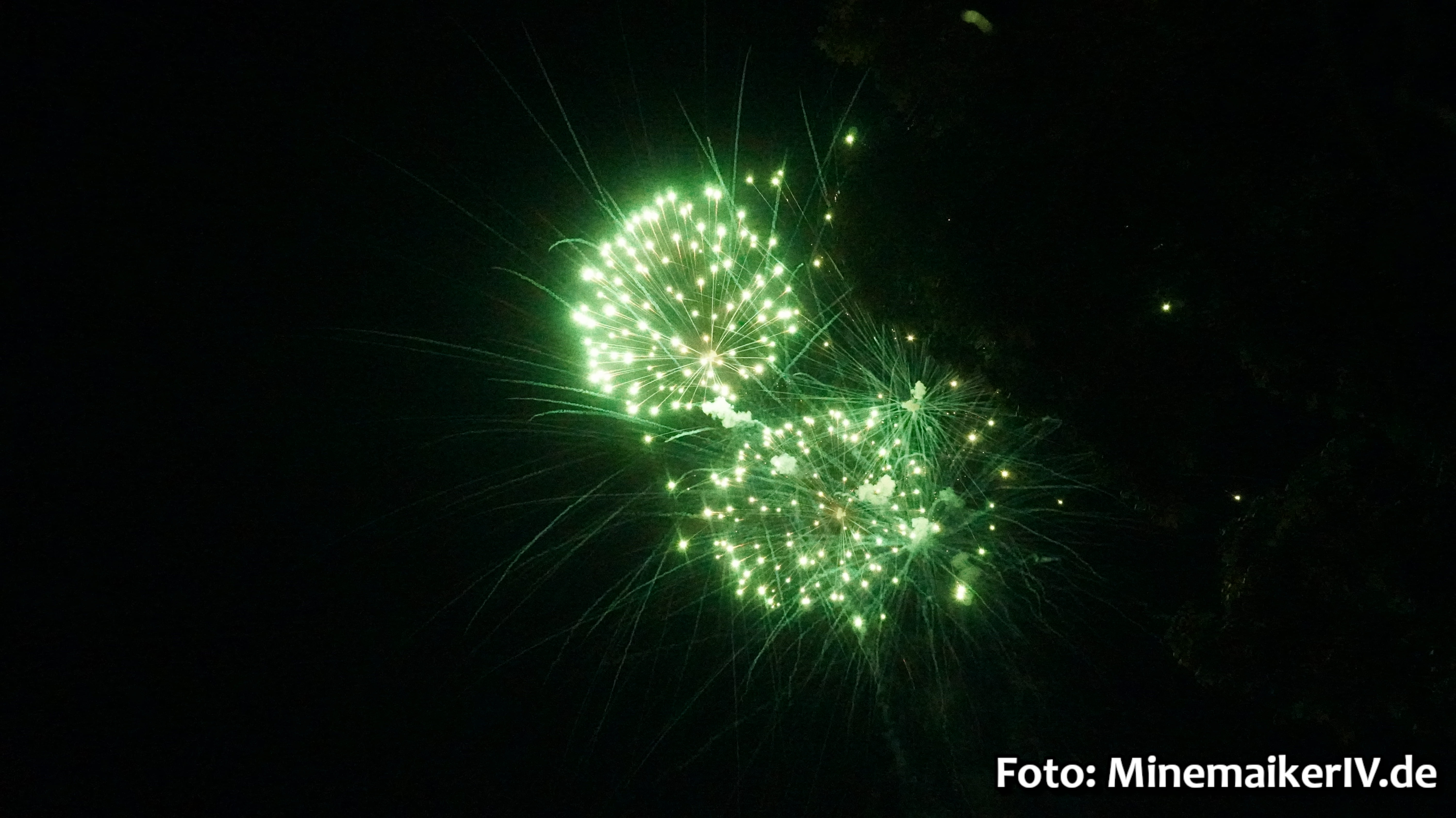 Bild 42