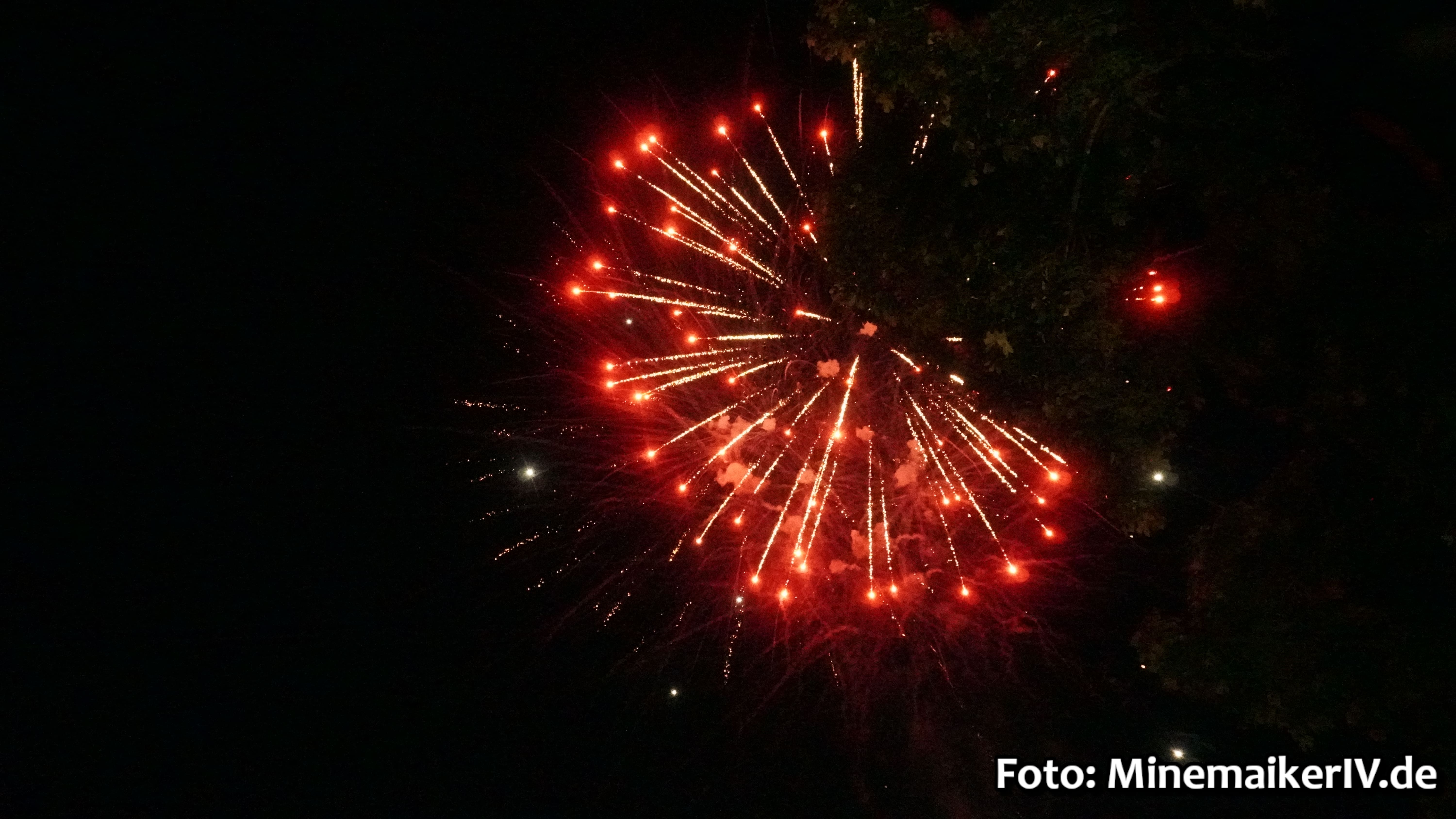 Bild 45