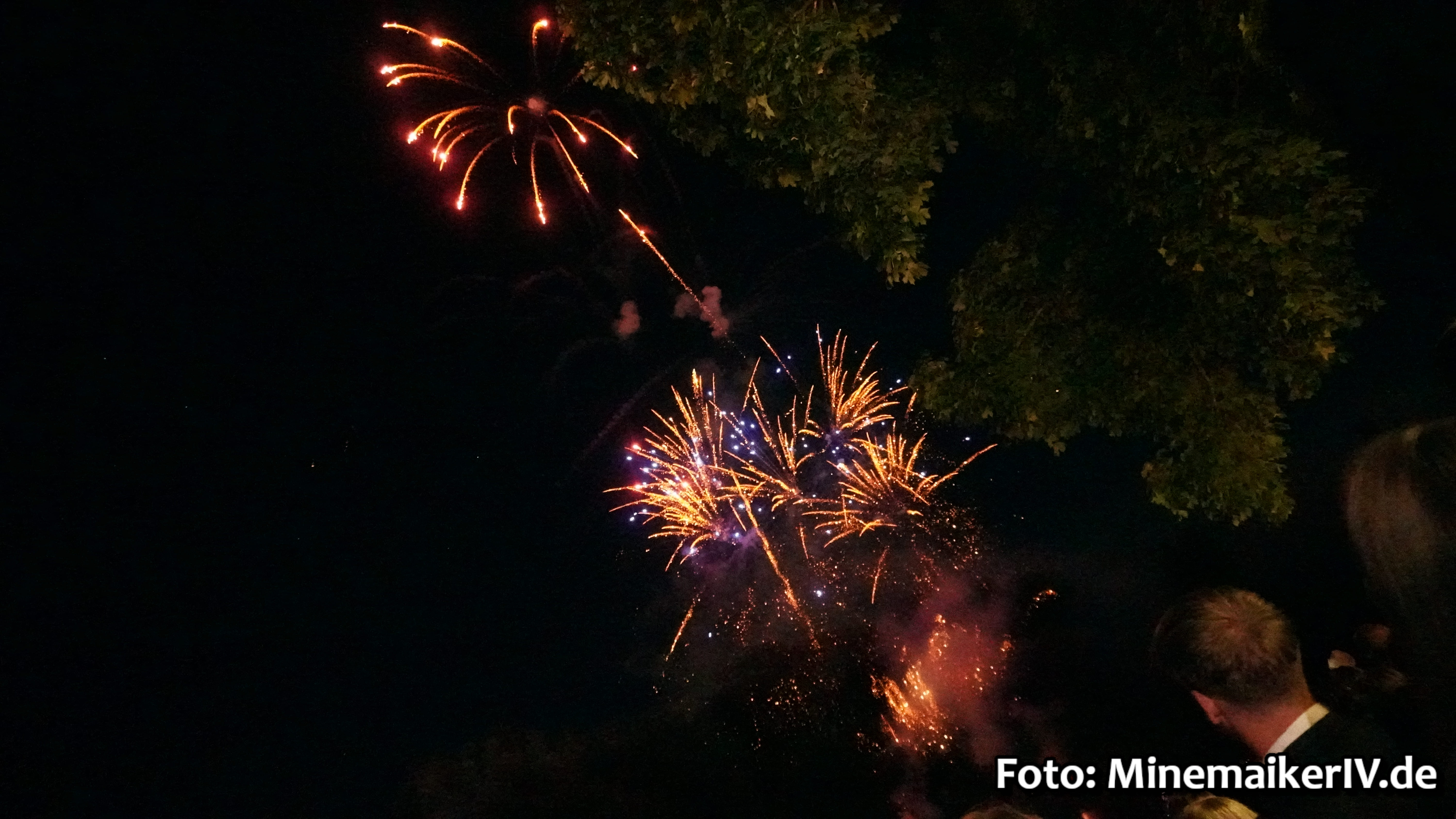 Bild 53