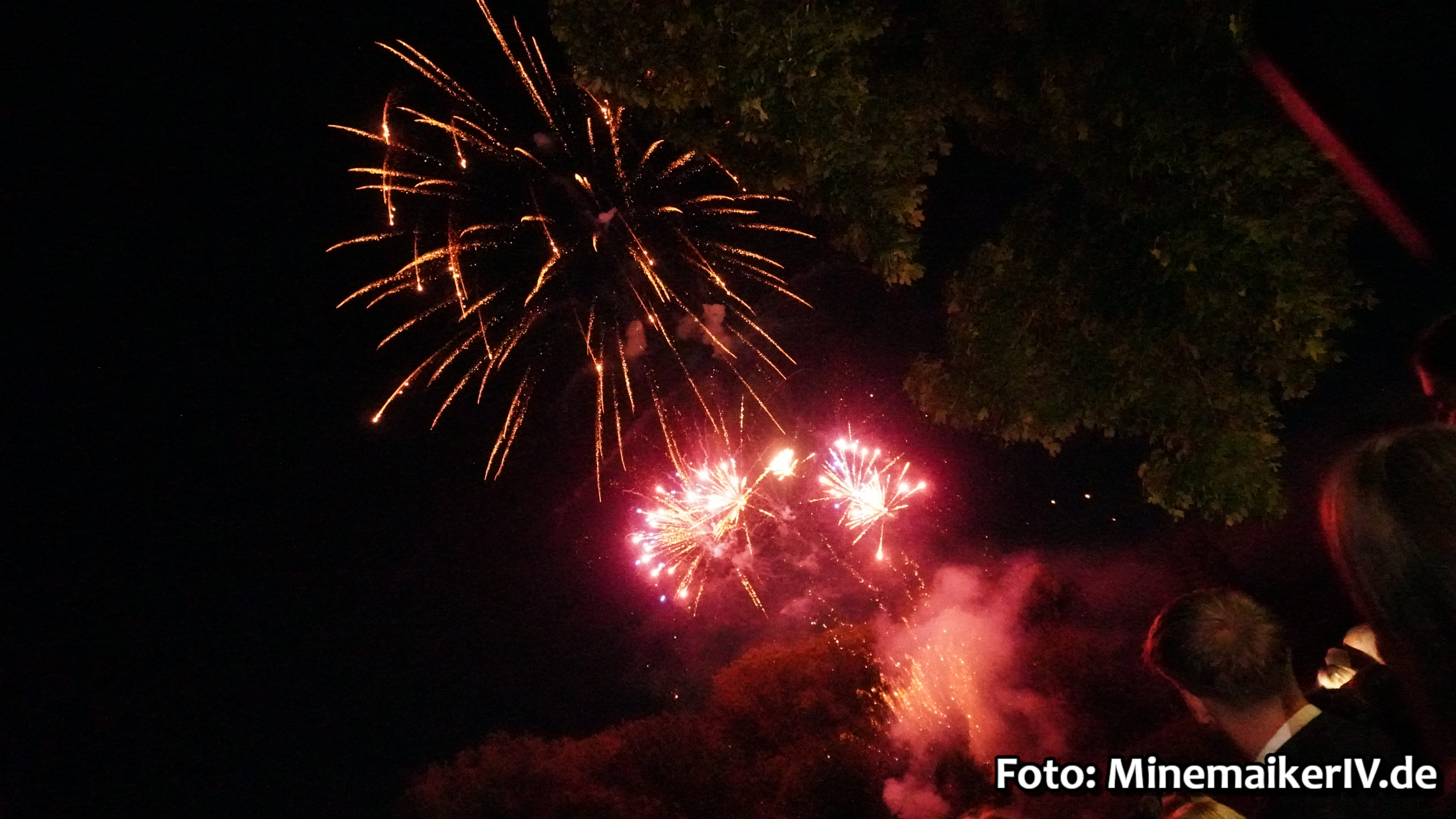 Bild 55
