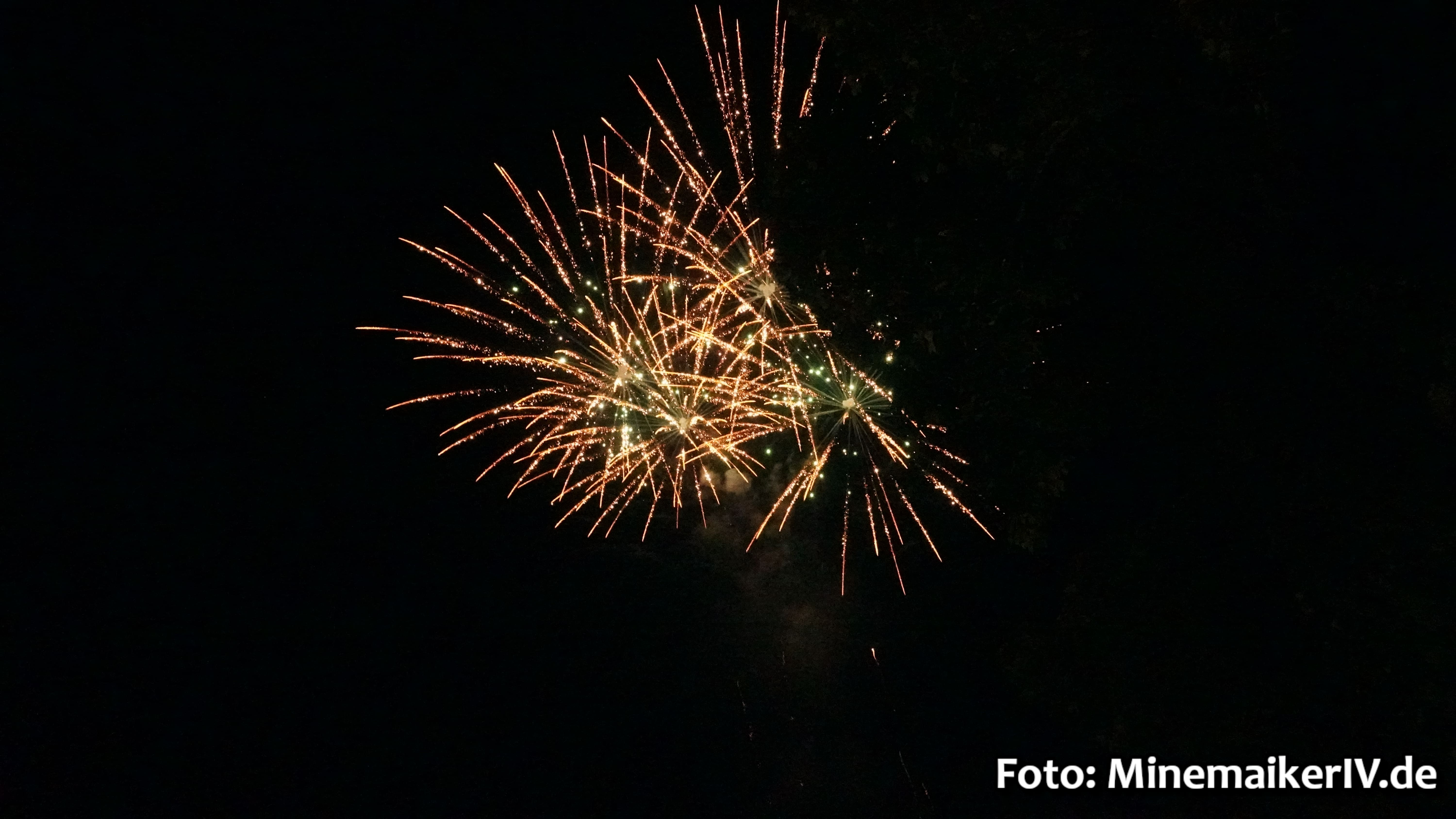 Bild 71