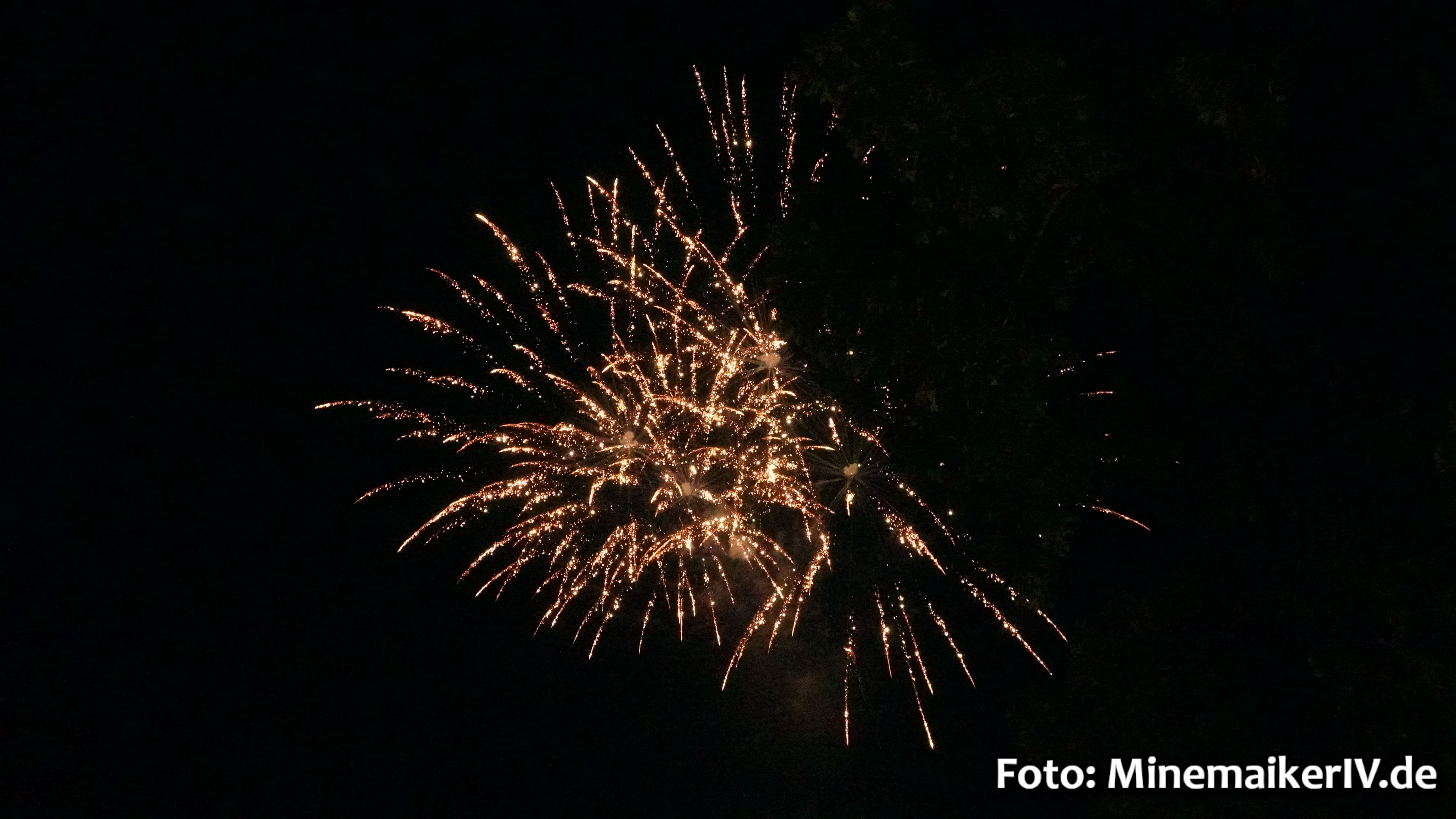 Bild 72