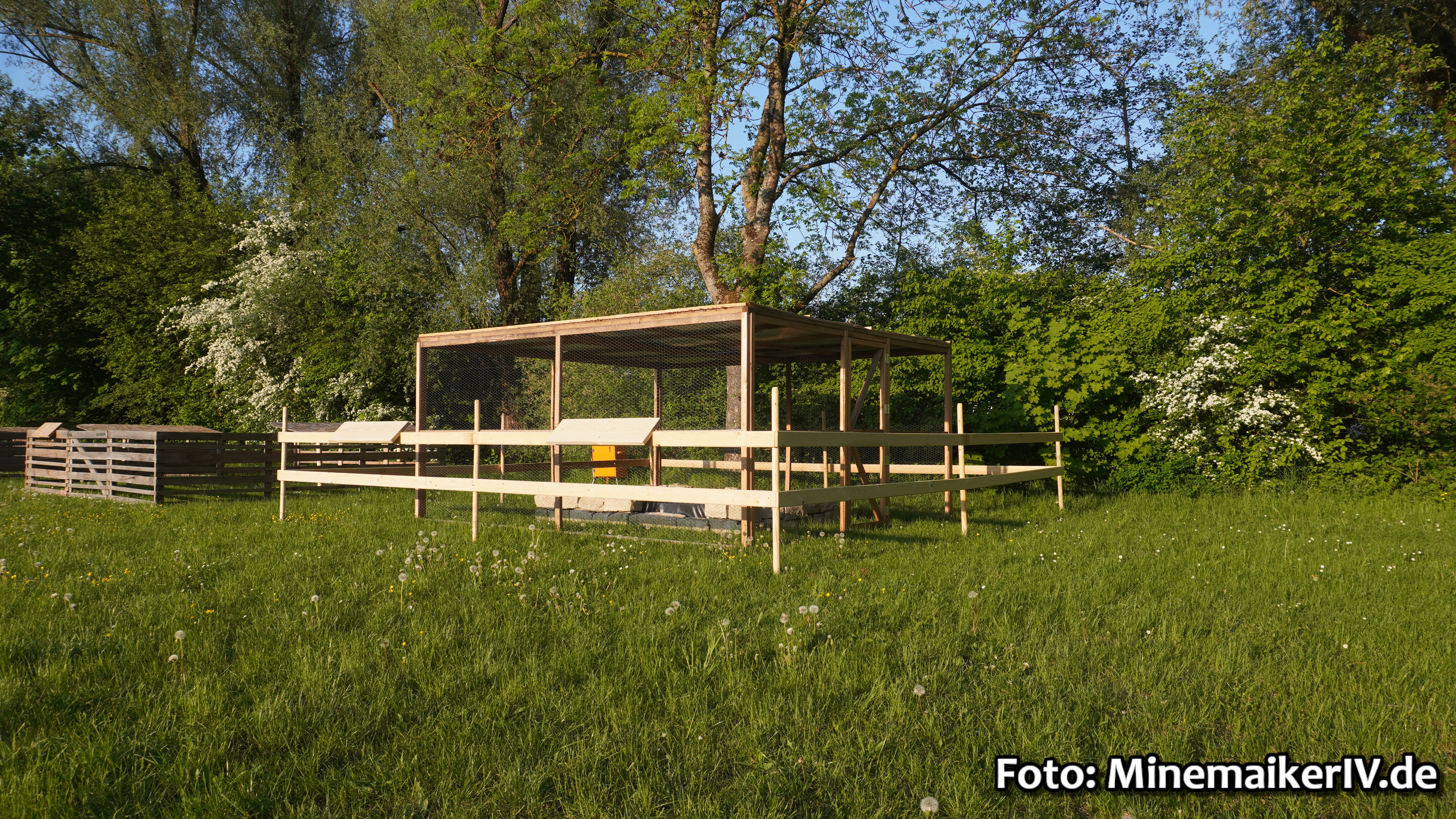 Bild 7